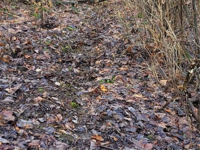 Township Rd 399, Coshocton, OH 43812 Photo 42