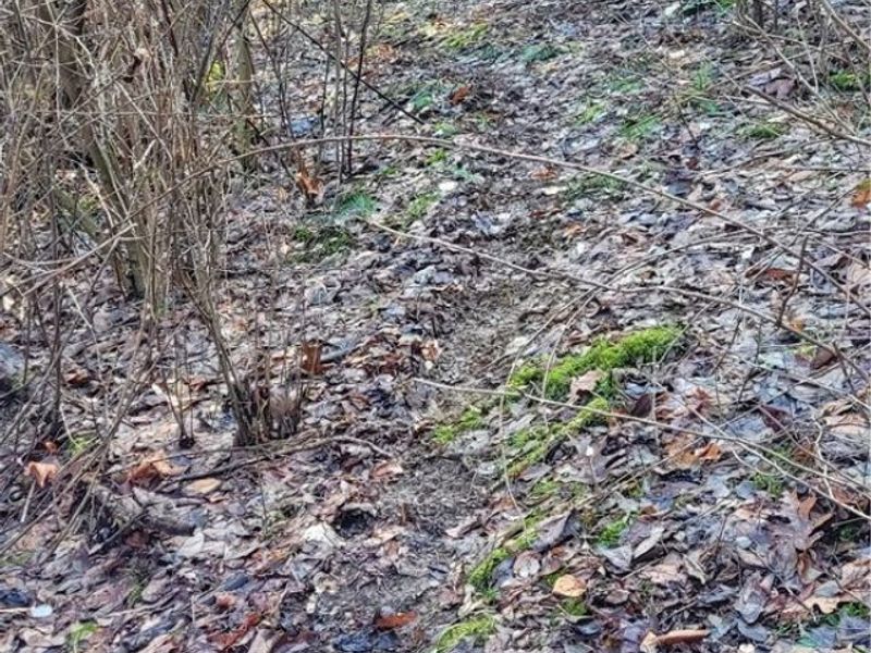 Township Rd 399, Coshocton, OH 43812 Photo 43