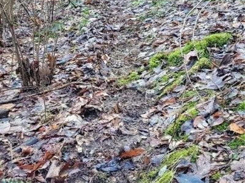 Township Rd 399, Coshocton, OH 43812 Photo 44