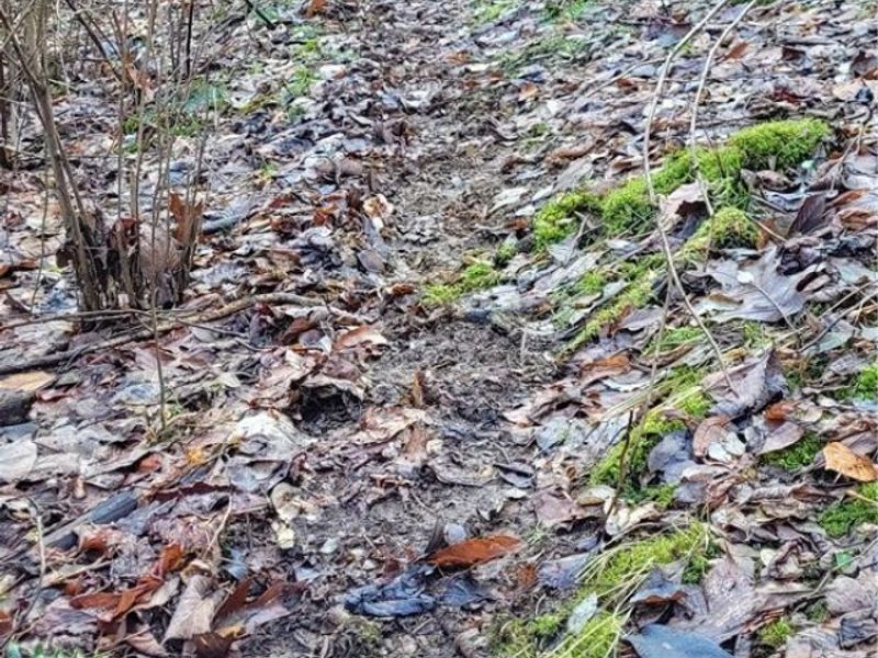 Township Rd 399, Coshocton, OH 43812 Photo 44