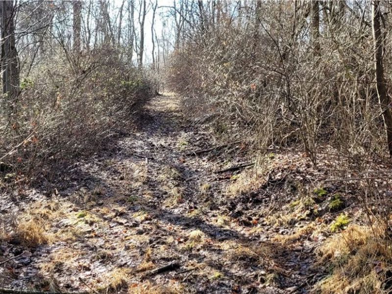 Township Rd 399, Coshocton, OH 43812 Photo 45