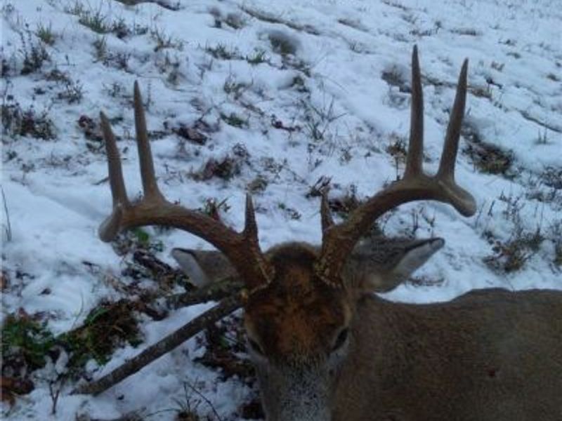 Township Rd 399, Coshocton, OH 43812 Photo 46