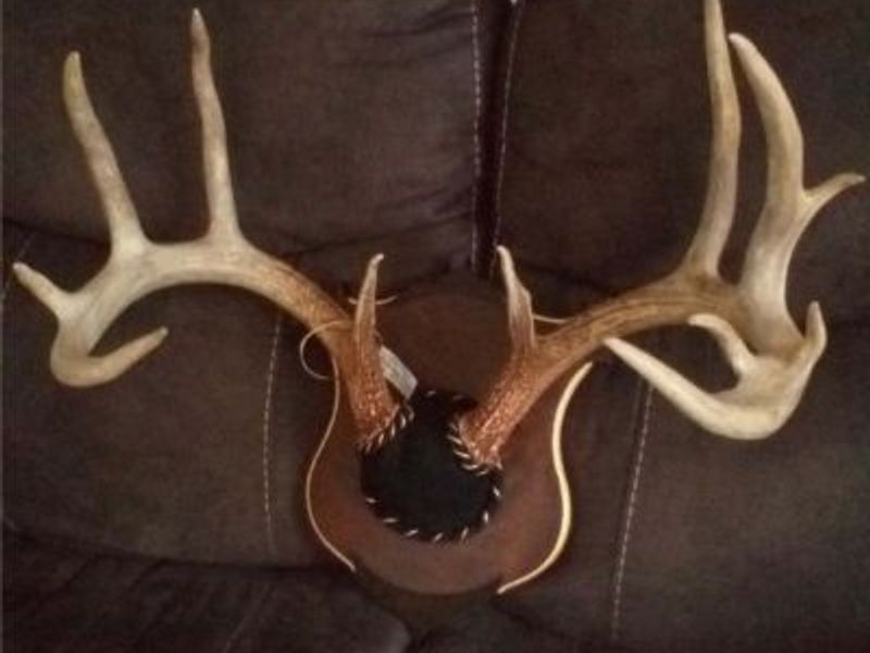 Township Rd 399, Coshocton, OH 43812 Photo 47