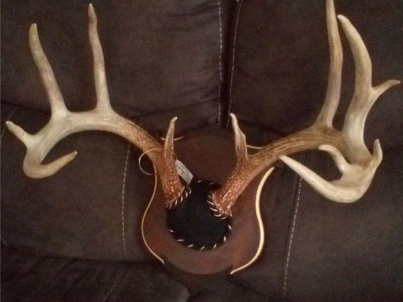 Township Rd 399, Coshocton, OH 43812 Photo 47