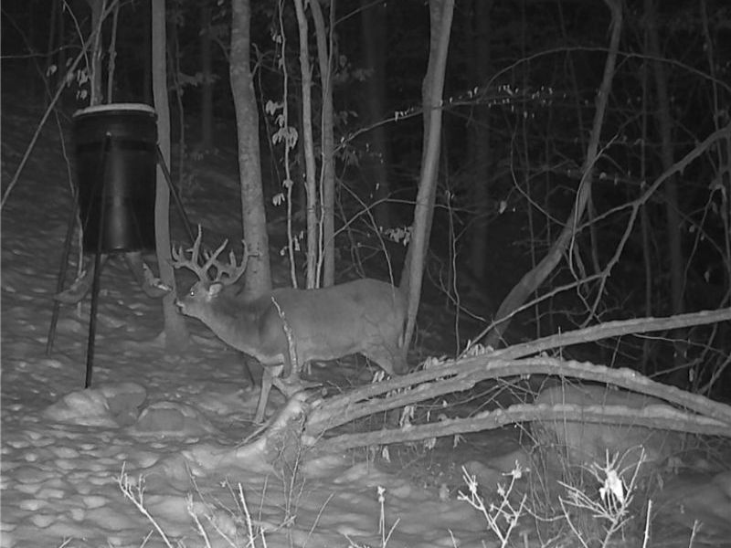 Township Rd 399, Coshocton, OH 43812 Photo 48