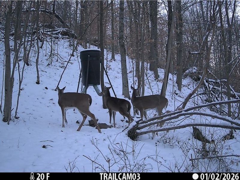 Township Rd 399, Coshocton, OH 43812 Photo 49