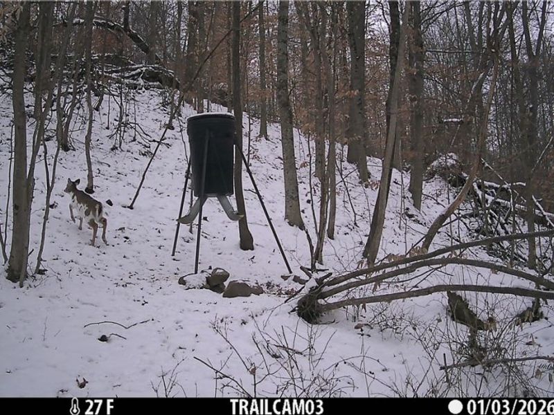 Township Rd 399, Coshocton, OH 43812 Photo 50