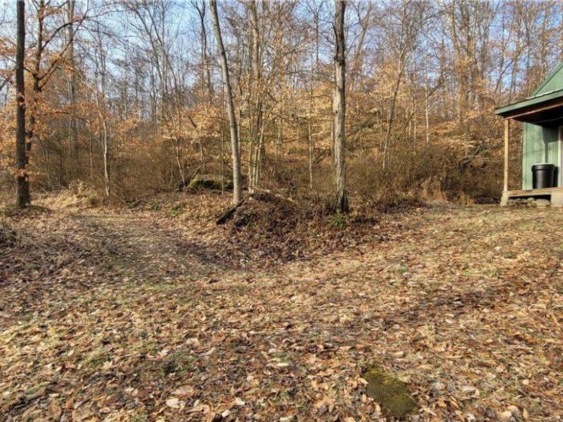 Township Rd 399, Coshocton, OH 43812 Photo 6