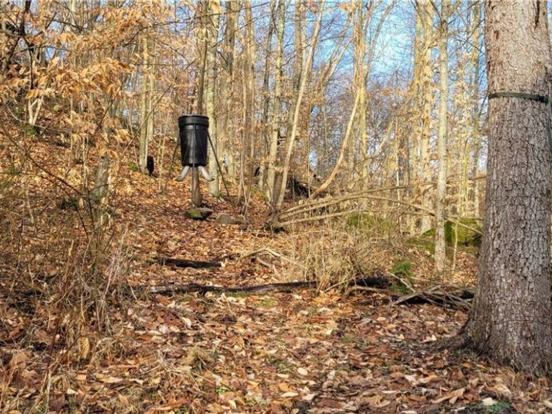 Township Rd 399, Coshocton, OH 43812 Photo 8