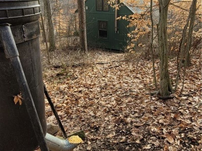 Township Rd 399, Coshocton, OH 43812 Photo 9