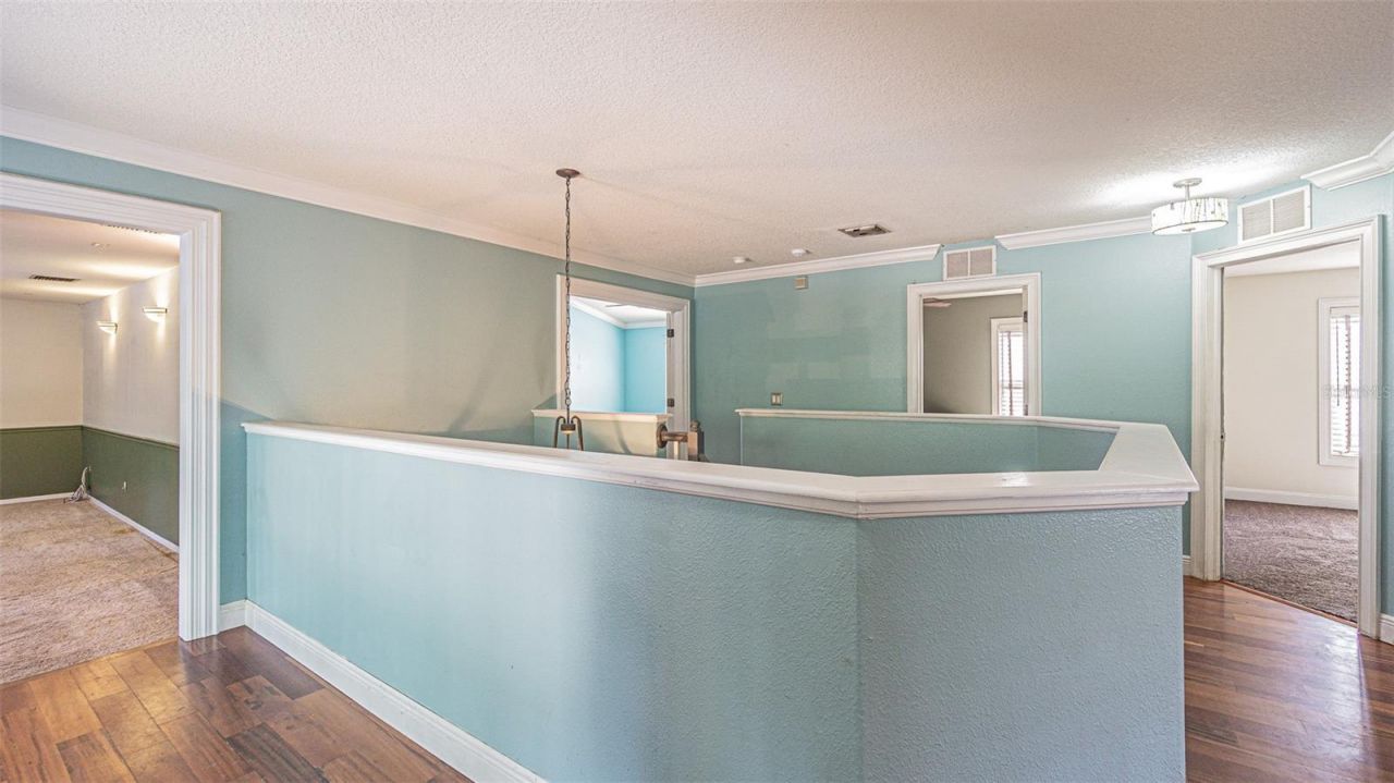 2807 Windcrest Oaks Court, Valrico, FL 33594 Photo