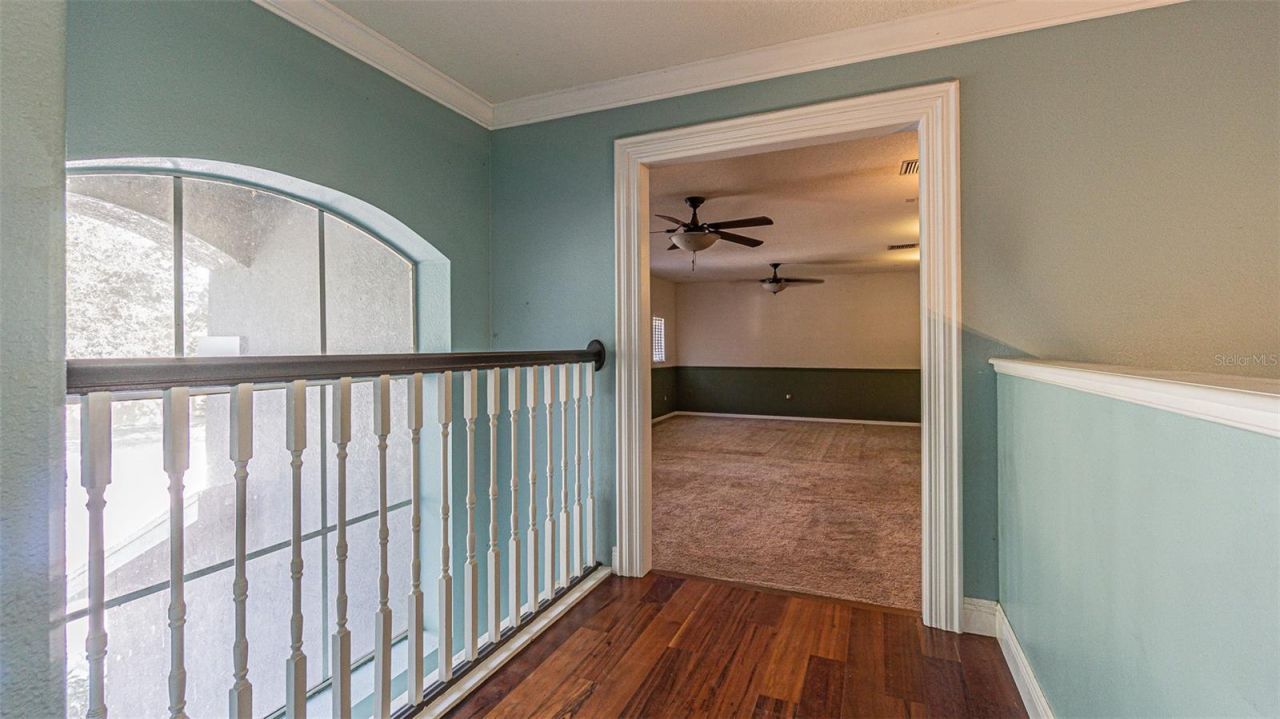 2807 Windcrest Oaks Court, Valrico, FL 33594 Photo