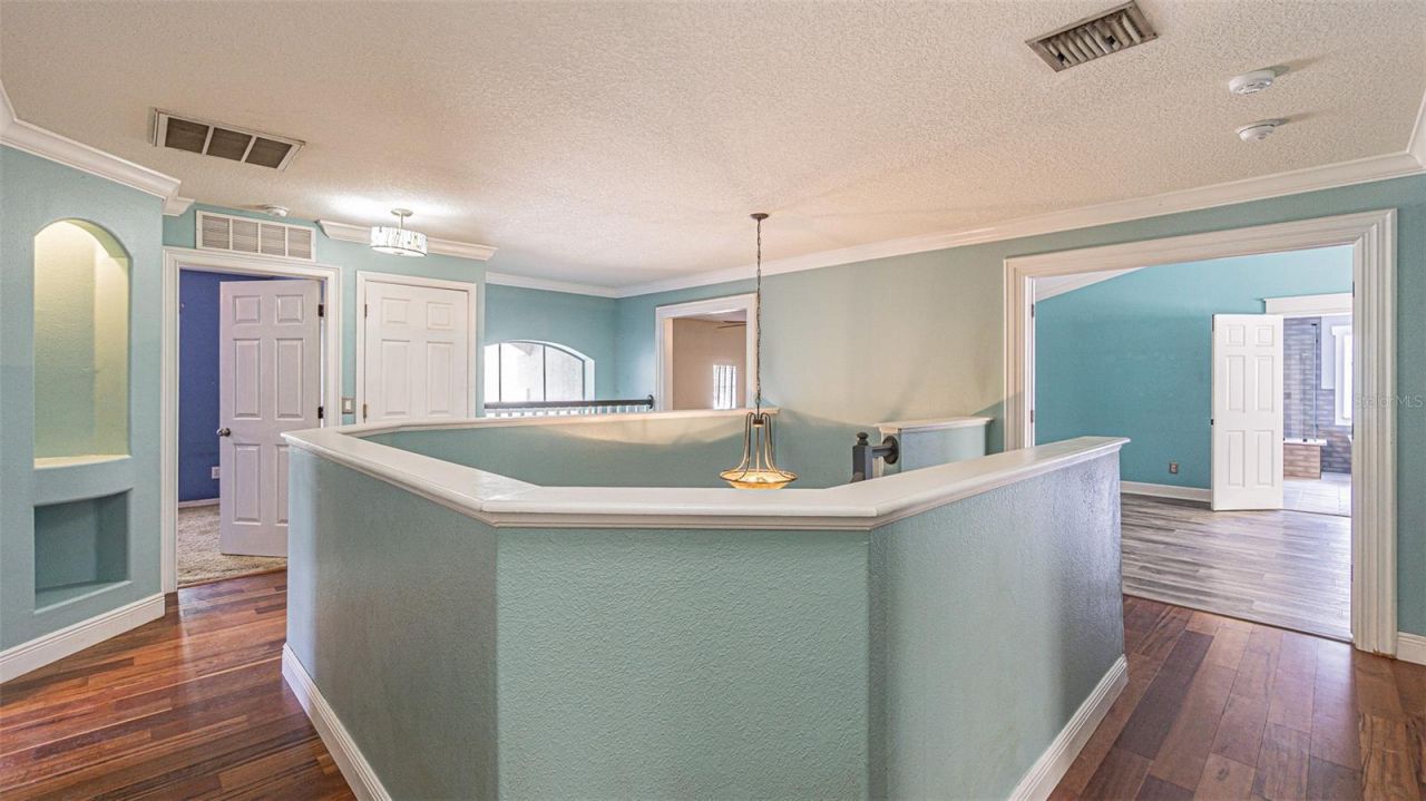 2807 Windcrest Oaks Court, Valrico, FL 33594 Photo