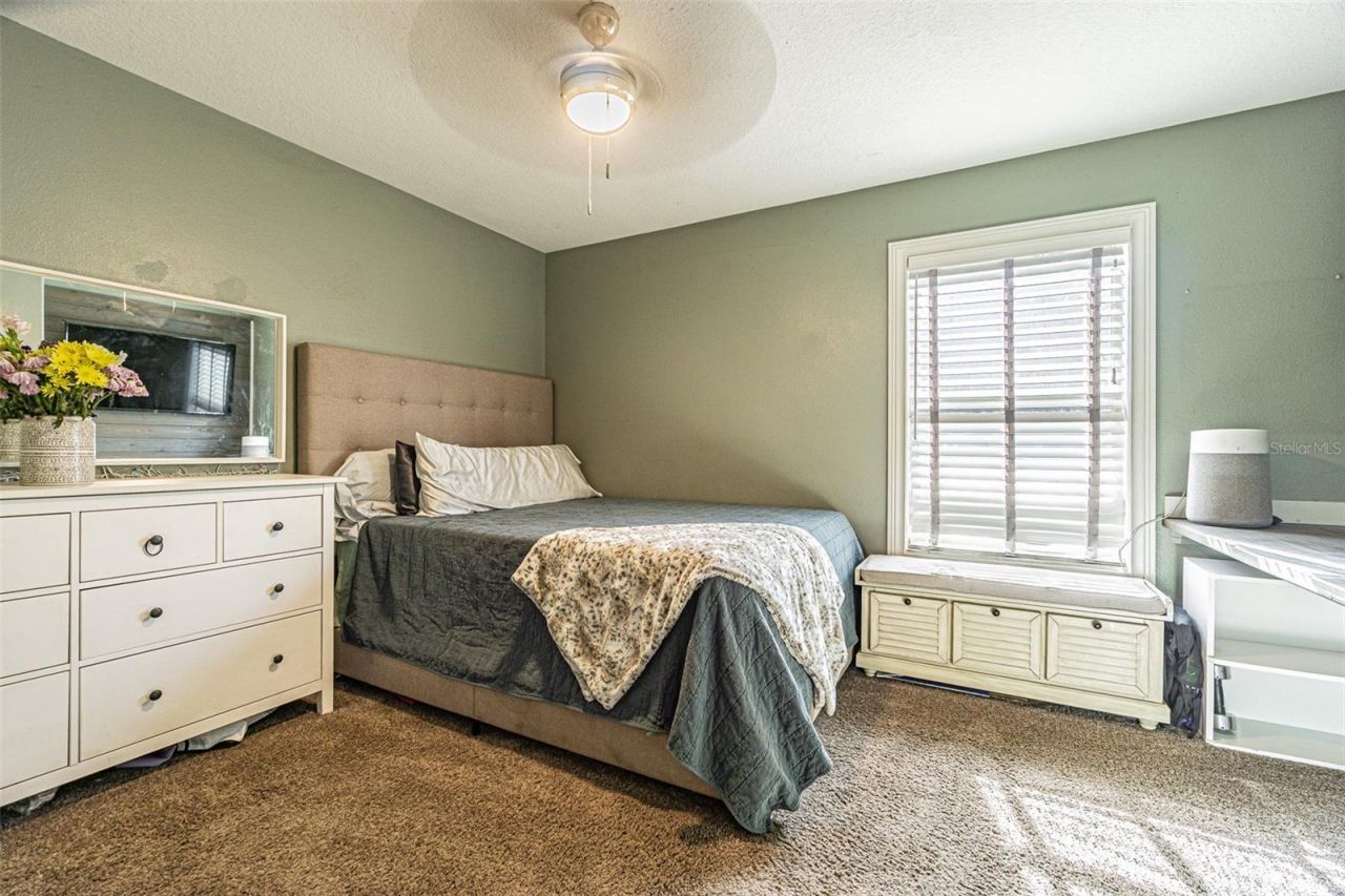 2807 Windcrest Oaks Court, Valrico, FL 33594 Photo