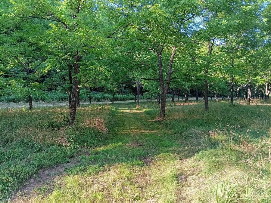 Property Image 52
