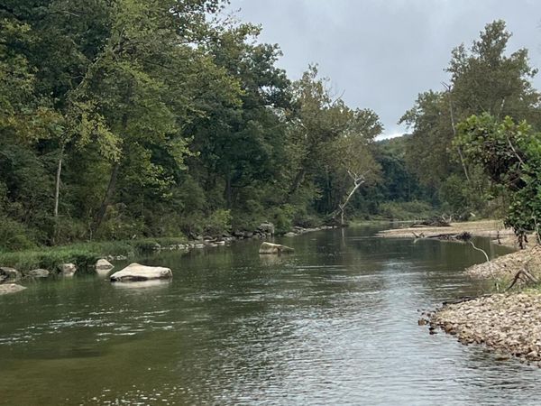 000 County Road 169, Brixey, MO 65618