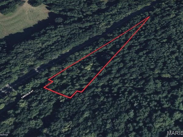 0 Lincoln Street, Villa Ridge, IL 62964