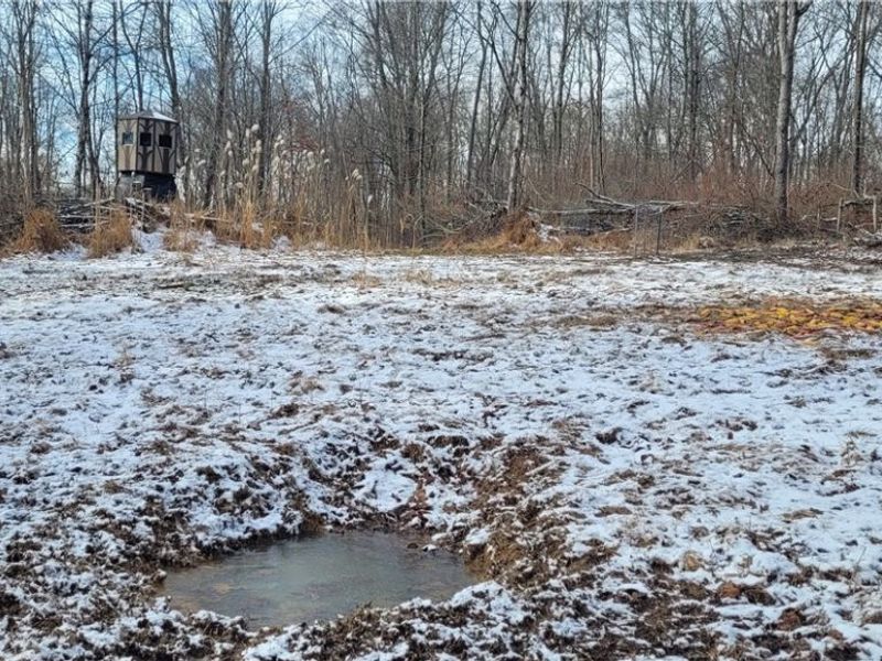 SR 79, Warsaw, OH 43844 Photo 1