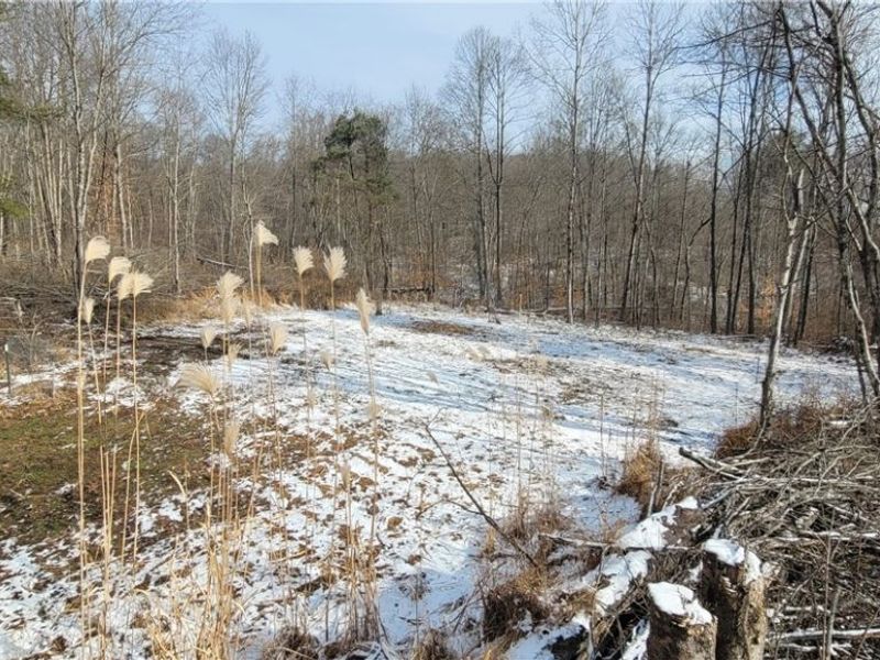 SR 79, Warsaw, OH 43844 Photo 11