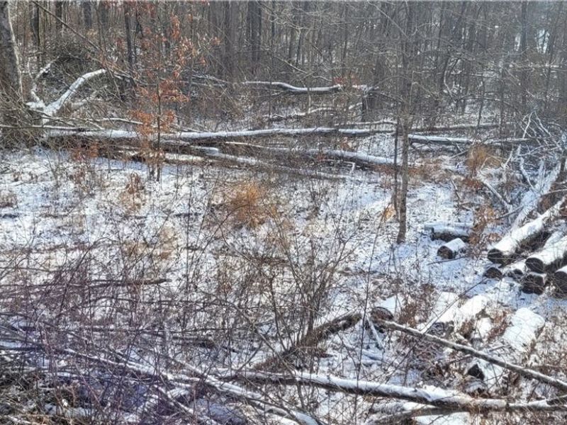 SR 79, Warsaw, OH 43844 Photo 12