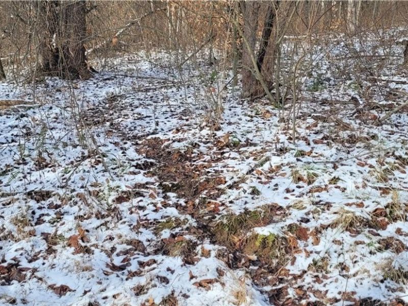 SR 79, Warsaw, OH 43844 Photo 13