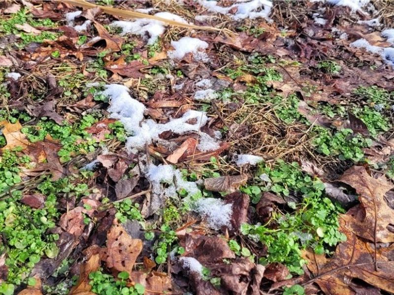 SR 79, Warsaw, OH 43844 Photo 14