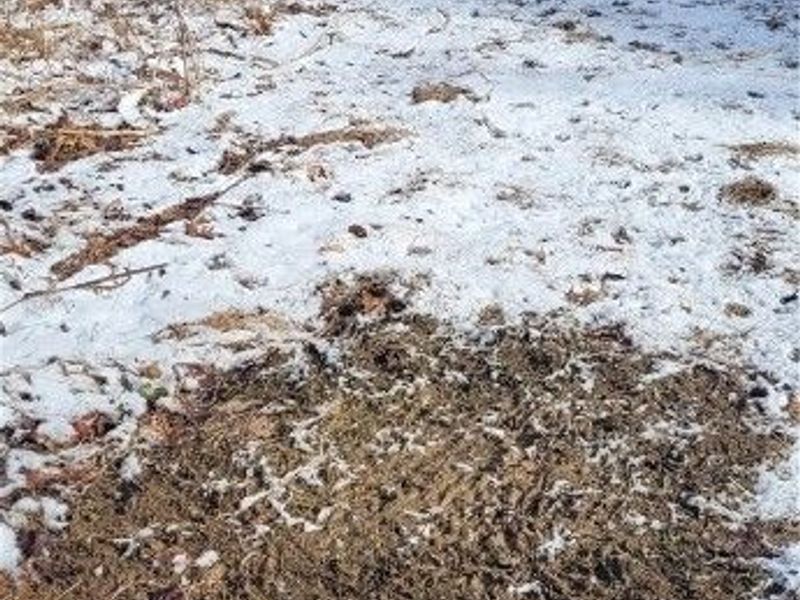 SR 79, Warsaw, OH 43844 Photo 17