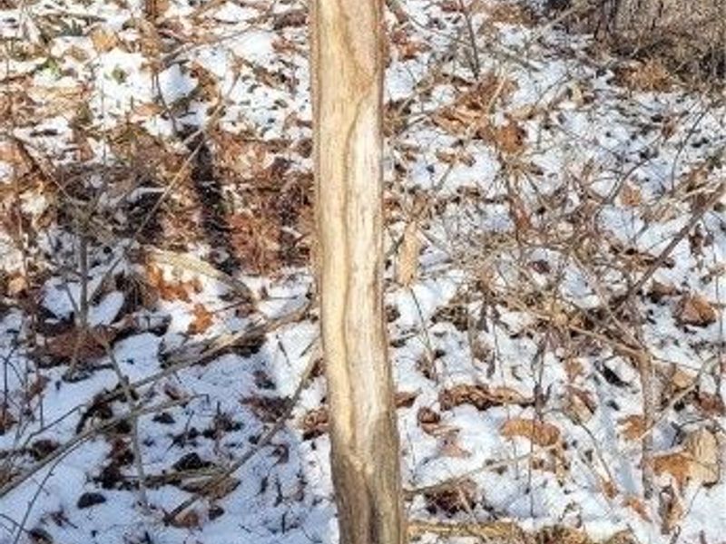 SR 79, Warsaw, OH 43844 Photo 18