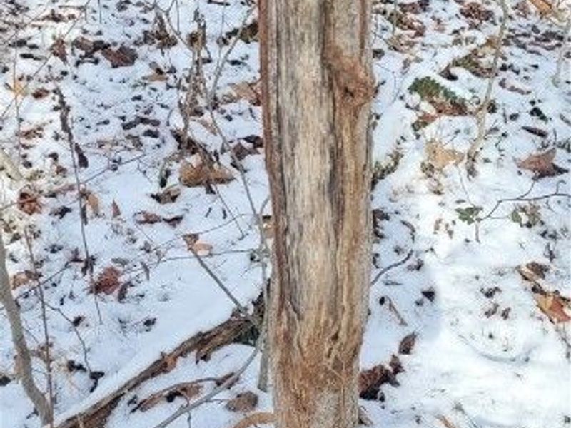 SR 79, Warsaw, OH 43844 Photo 19