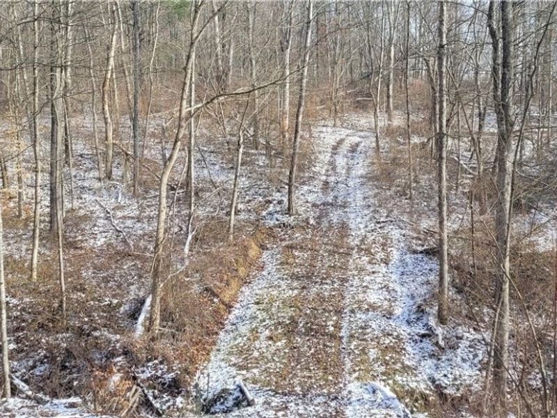 SR 79, Warsaw, OH 43844 Photo 20