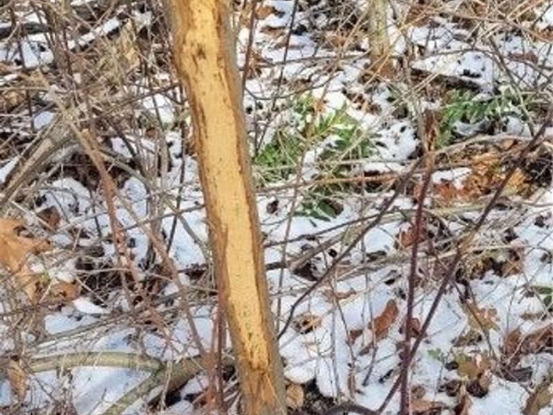 SR 79, Warsaw, OH 43844 Photo 21