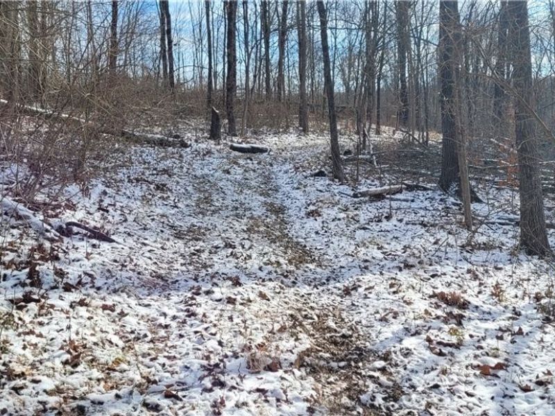 SR 79, Warsaw, OH 43844 Photo 22