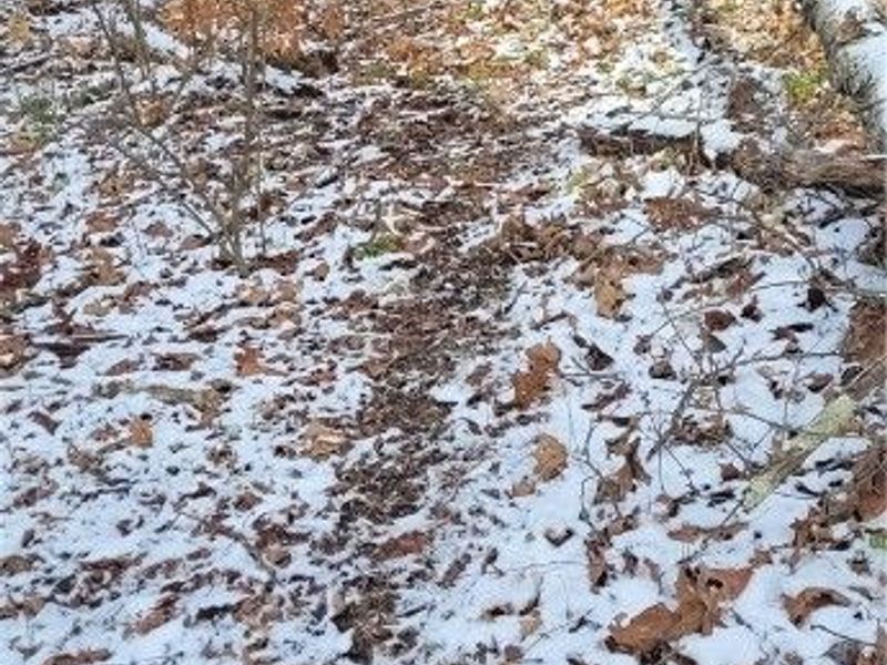 SR 79, Warsaw, OH 43844 Photo 23