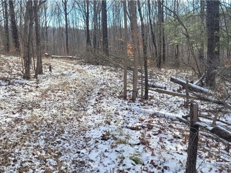 SR 79, Warsaw, OH 43844 Photo 24