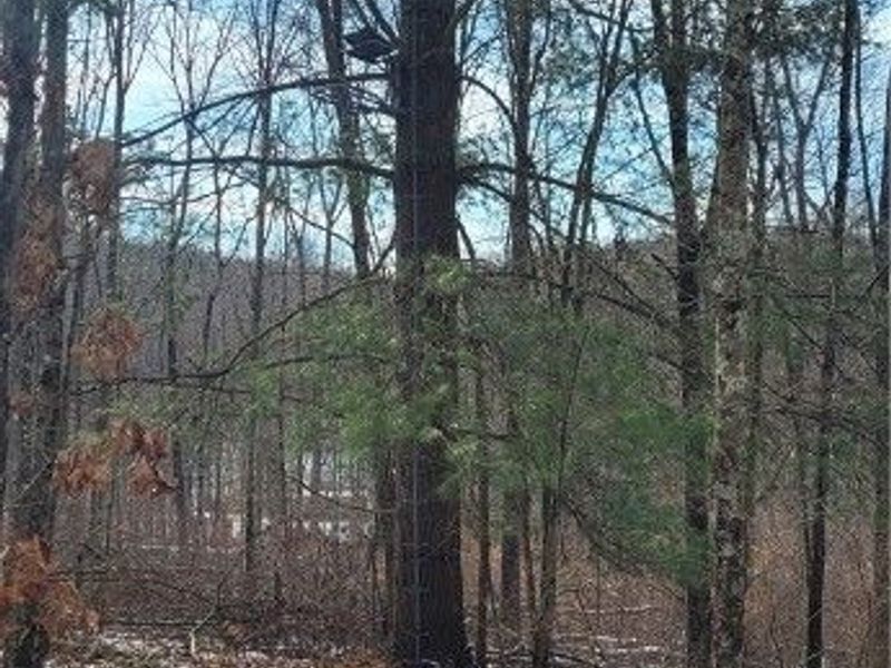 SR 79, Warsaw, OH 43844 Photo 25