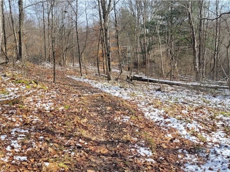 SR 79, Warsaw, OH 43844 Photo 26