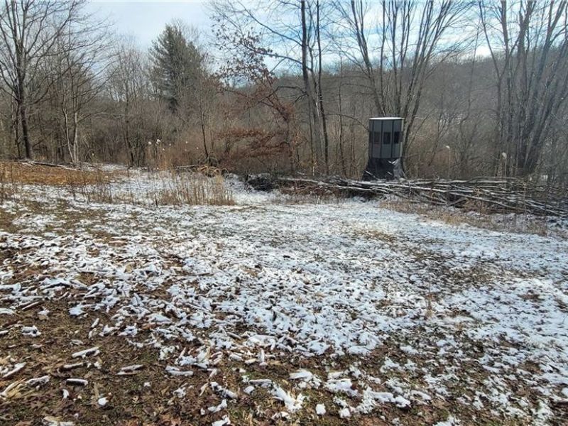 SR 79, Warsaw, OH 43844 Photo 30