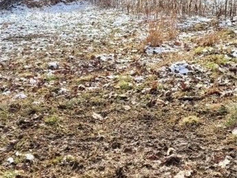 SR 79, Warsaw, OH 43844 Photo 32