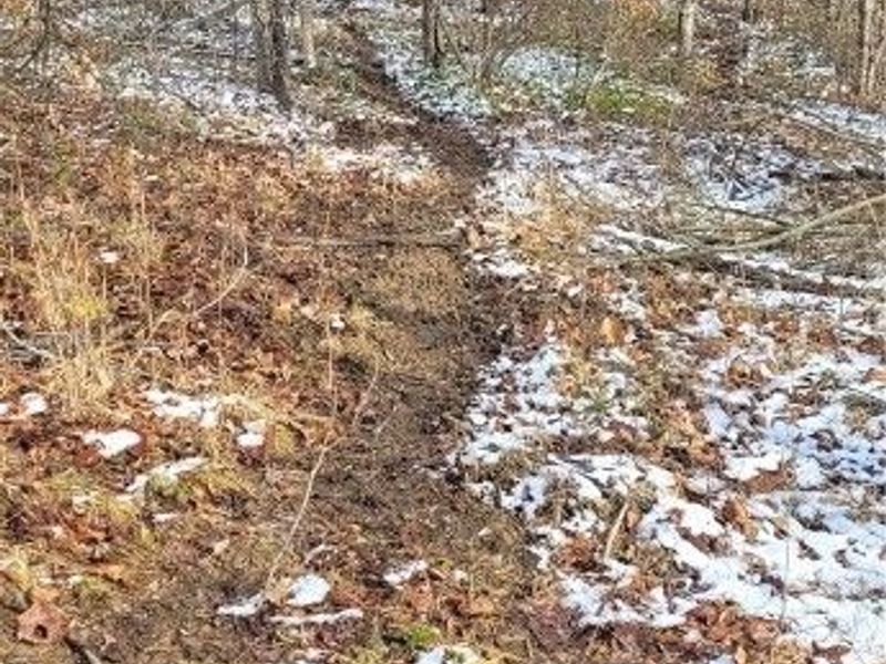 SR 79, Warsaw, OH 43844 Photo 33