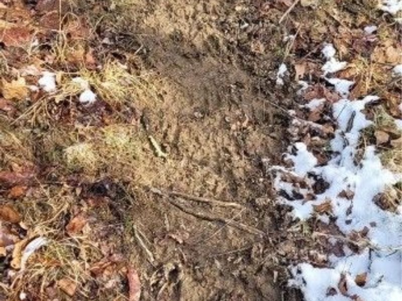 SR 79, Warsaw, OH 43844 Photo 34