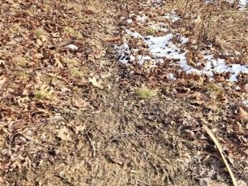 SR 79, Warsaw, OH 43844 Photo 36