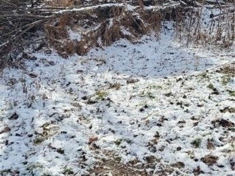 SR 79, Warsaw, OH 43844 Photo 37