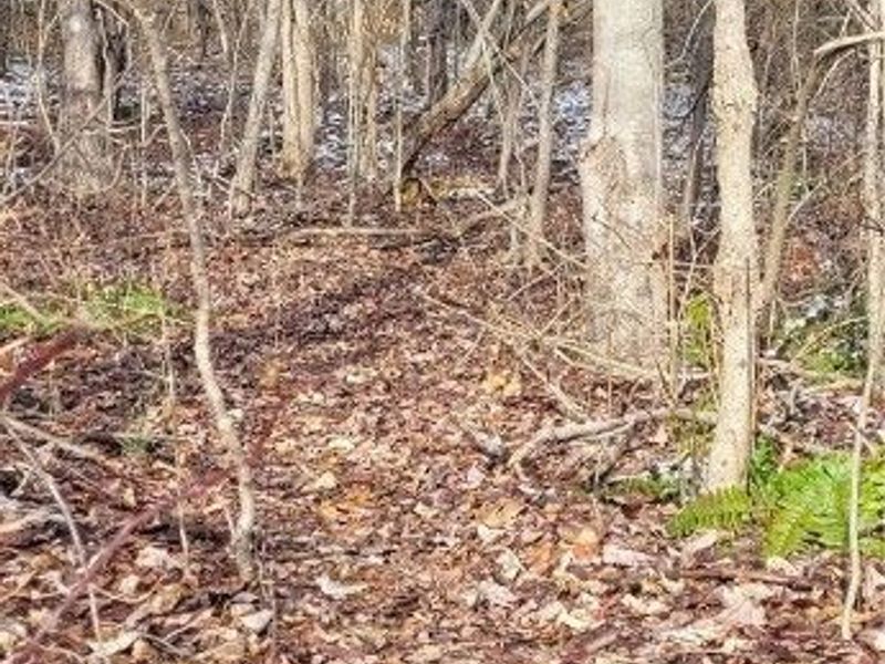 SR 79, Warsaw, OH 43844 Photo 38