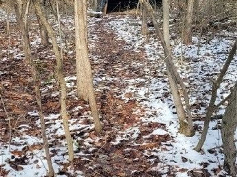 SR 79, Warsaw, OH 43844 Photo 39