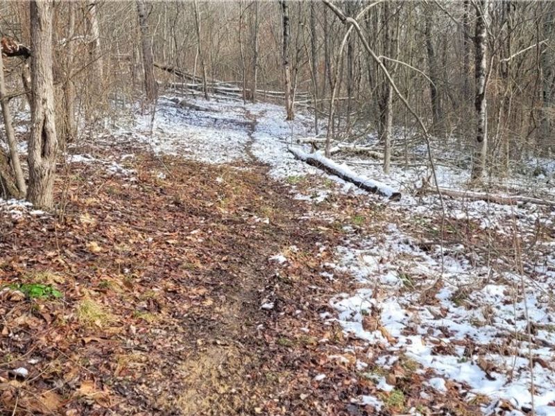 SR 79, Warsaw, OH 43844 Photo 41