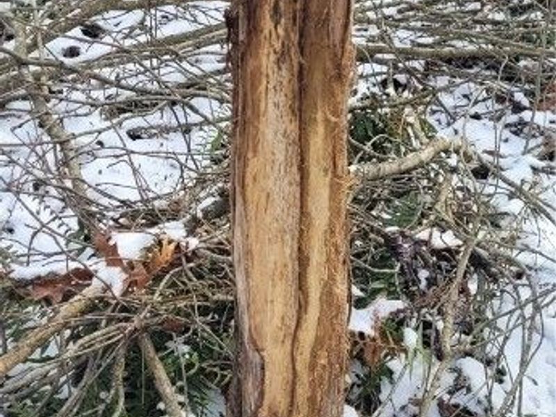 SR 79, Warsaw, OH 43844 Photo 43