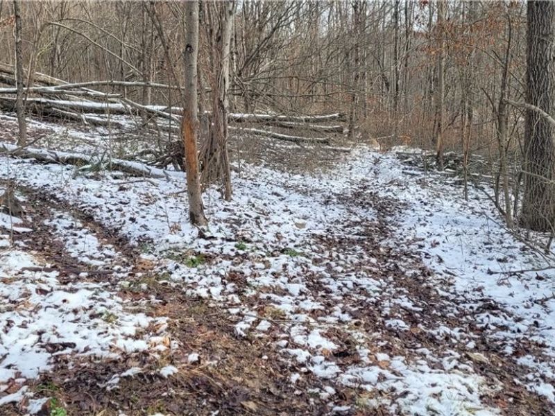 SR 79, Warsaw, OH 43844 Photo 44