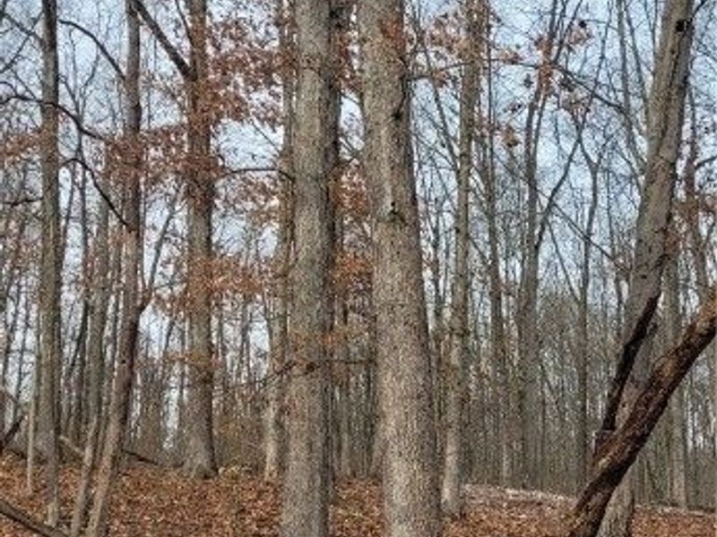 SR 79, Warsaw, OH 43844 Photo 45