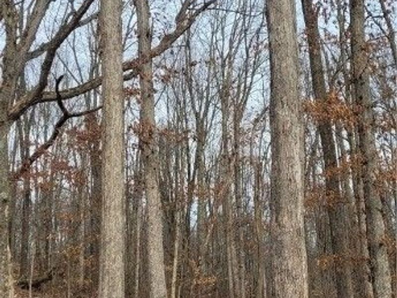 SR 79, Warsaw, OH 43844 Photo 46