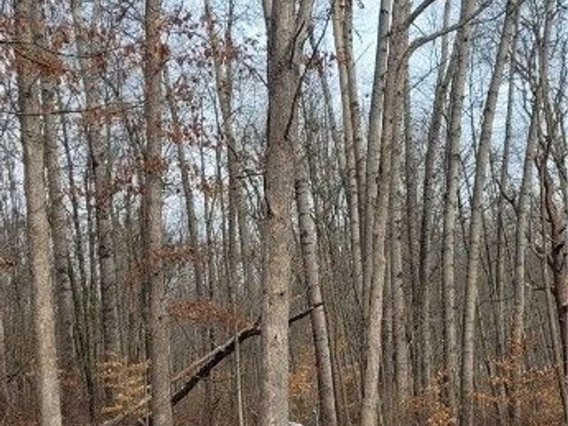 SR 79, Warsaw, OH 43844 Photo 47